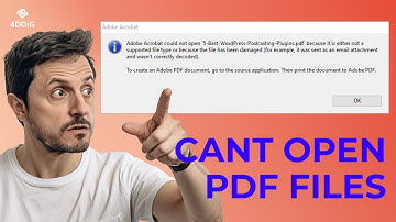 [6 Quick Fixes] Cant Open PDF in Windows 10/11? Repair Corrupted/Damaged PDF Files 2025
