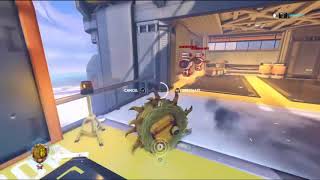 Junkrat Rip Tire Bug Overwatch