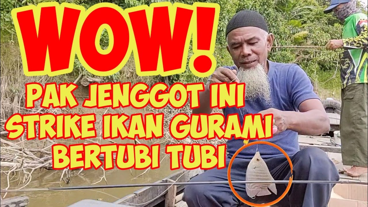 MANCING IKAN GURAME 2020 - STRIKE BERTUBI TUBI PAK JENGGOT INI SAMPAI LUPA NGOPI