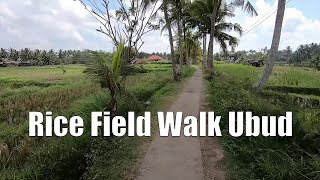 Rice Field Walk Ubud Bali