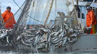 big fish in net Cast for fish-Mullet, Tilapia, Drum, Cat and more- bigger mesh, sink very fast Foldable Fish Catching Net, Hand
