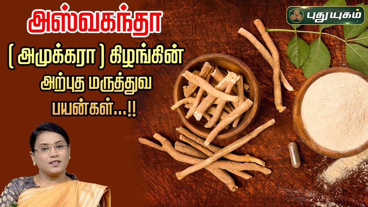 அஸ்வகந்தா ( அமுக்கரா )கிழங்கின் அற்புத மருத்துவ பயன்கள்...!! | Dr.M.S.UshaNandhini | #puthuyugamtv