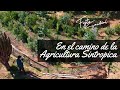 Caminando en la Agroecologia y la Agricultura Sintrópica