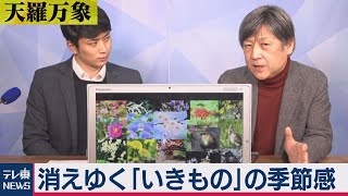 「消えゆく“いきもの”の季節感」【久保田解説委員の天羅万象】(６)（2020年12月18日）