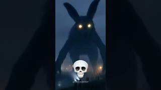 Rabbit Cant Be Scary