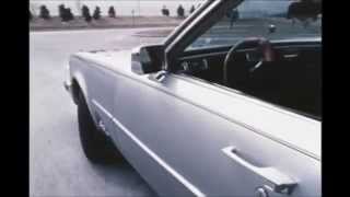 Famous michael rhodes - classic joint Wealth