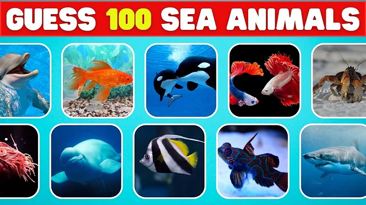Guess 100 Sea Animals in 3 Seconds 🐬🦀 | Easy, Medium, Hard, Impossible