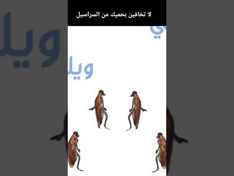ترند السراسير ابلور لايك ترند