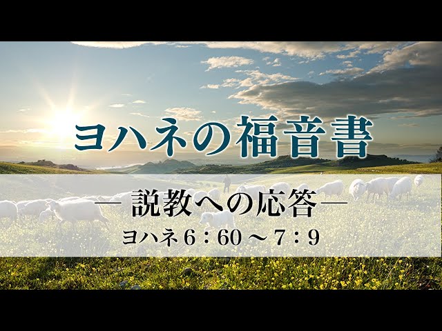 ヨハネの福音書（17）「説教への応答」6：60～7：9 - YouTube