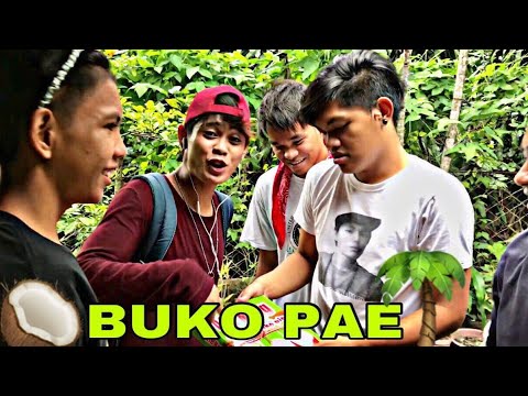 BUKO PAE - YouTube