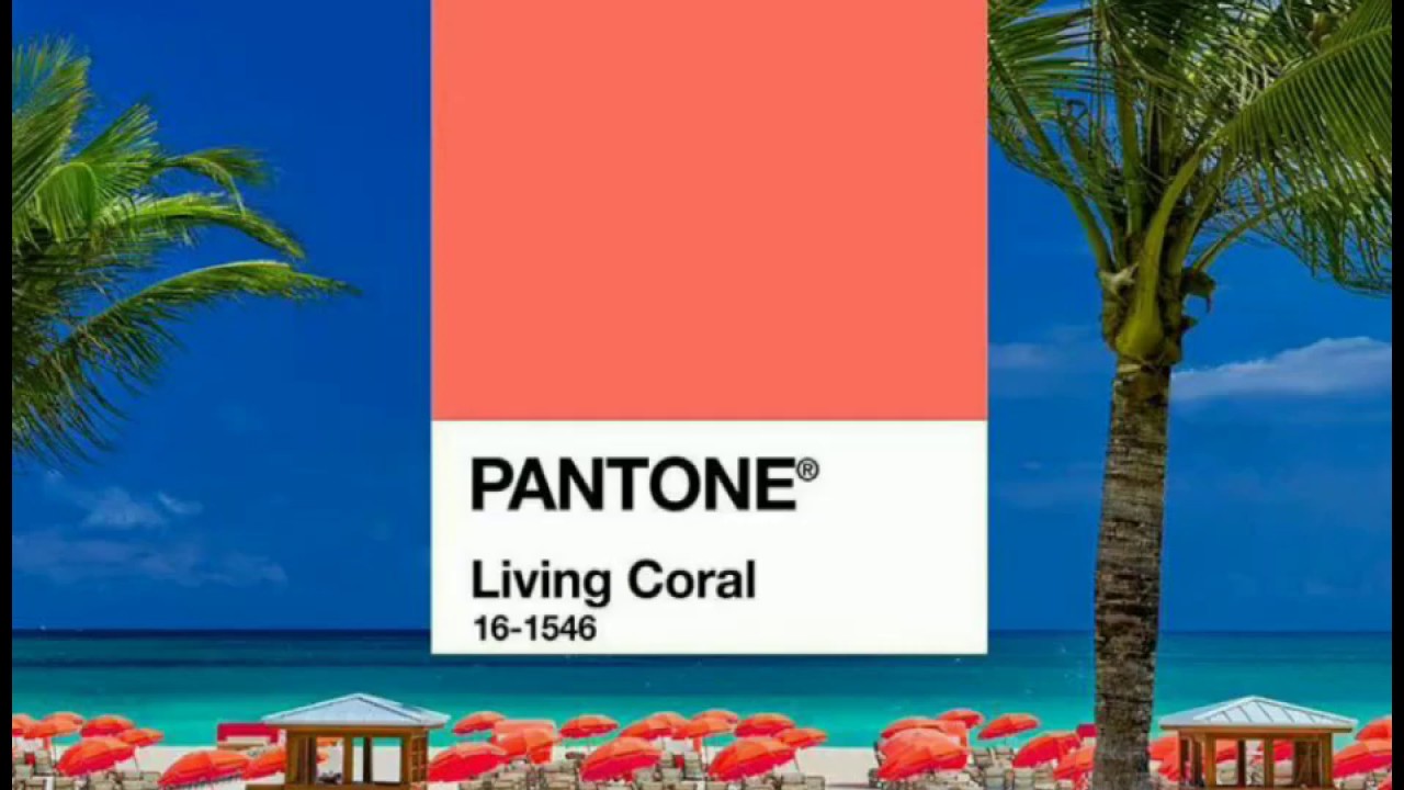 Pantone Formula Guide Solid Coated & Uncoted- GP1601