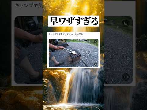 キャンプの極意 #shorts #面白い #おもしろ #鳥 #すごいのサムネイル