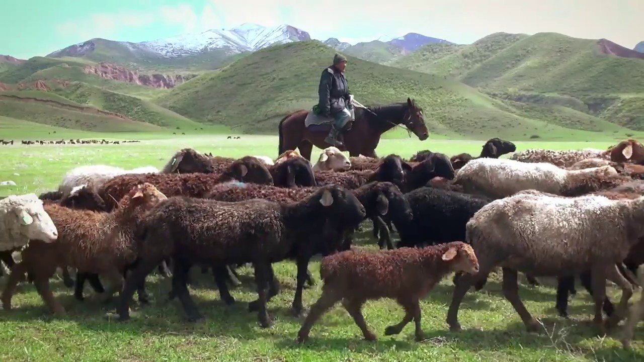 The Value of Land Kyrgyzstan YouTube