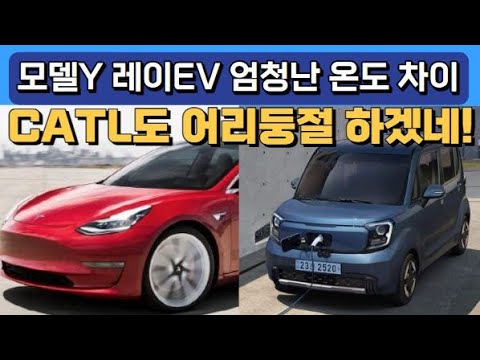 모델 Y 레이EV 엄청난 온도차이 &amp;quot;CATL도 어리둥절 하겠네!&amp;quot;