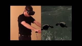 Birdtual Reality Control Tutorial - Superhero Flying
