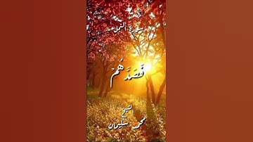 سورة النمل ـ الأية (34)ـ بصوت القارئ الشيخ #محمد_سليمان