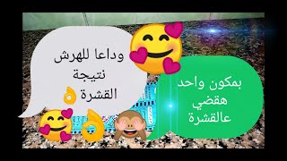 وصفة القضاء على قشرة الشعر نهائيابمكون واحد /مجربات هدي