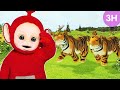 Teletubbies Animals Parade! | 3 Hours Teletubbies Classic Compilation For Kids | WildBrain Zigzag