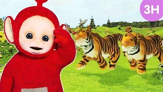 Teletubbies Animals Parade! | 3 Hours Teletubbies Classic Compilation For Kids | WildBrain Zigzag