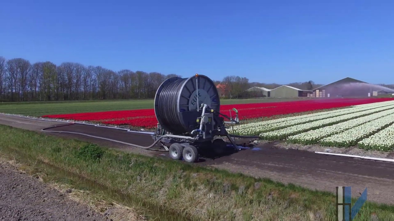 Irrimec beregenigshaspels