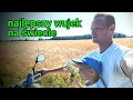 jedziemy na pole bizon będzie się dusił