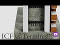 Termites and ICF?!?!