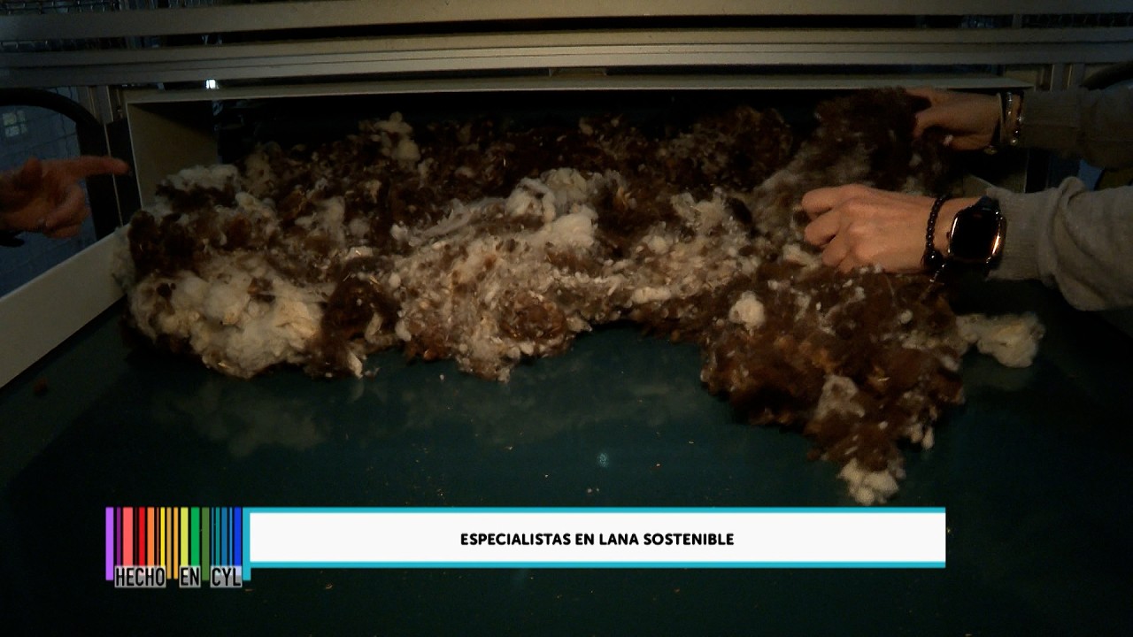 T15/E12: Tvitec, Lanificios y Nagami 