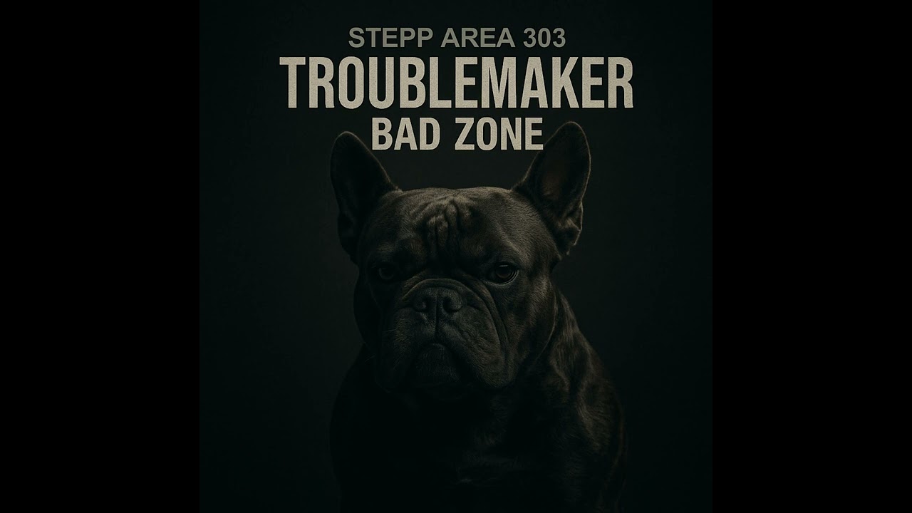 Stepp Area 303 / Troublemaker Bad Zone 