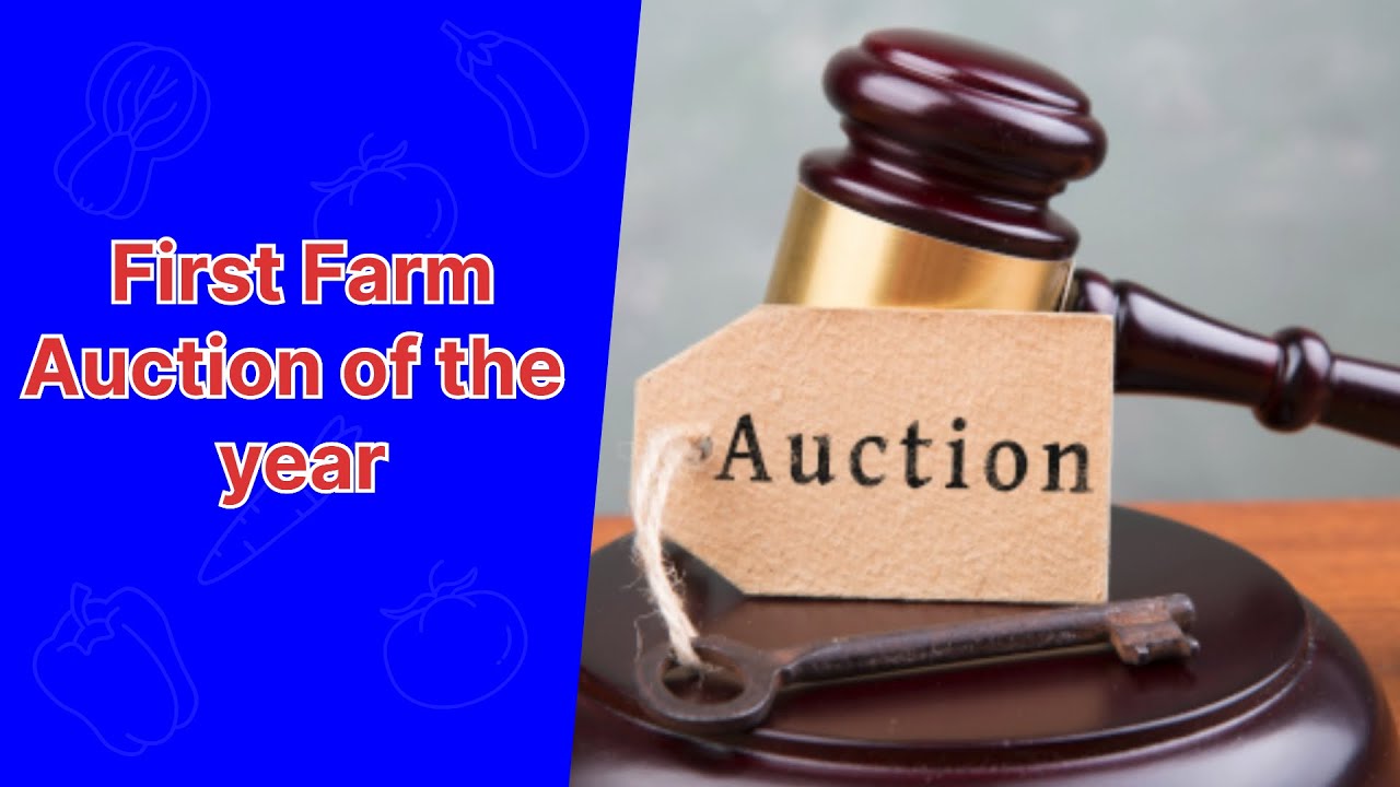 Auction time - YouTube