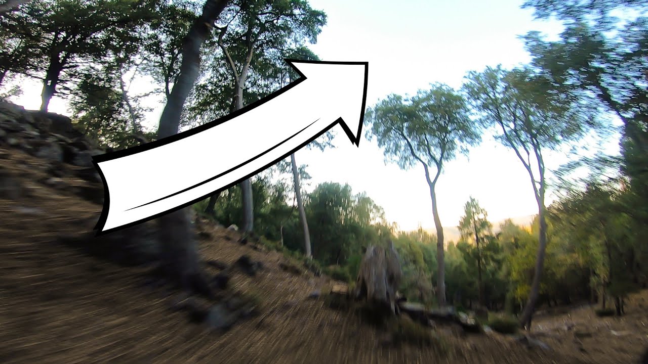 Pinchy's Bugs Be Gone // FPV Freestyle One Take