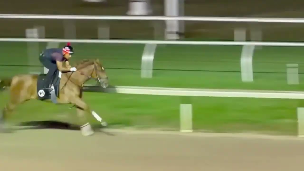 Feeling Groovy Jan 8 2026