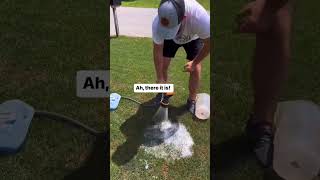 Army worms are the worst! #shortsvideo #lawn