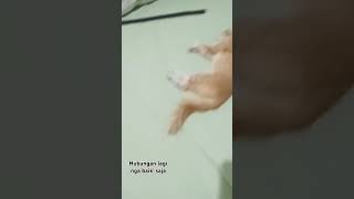 Hubungan yg lagi tidak baik #kucing#pecintakucing