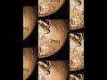 2001 D Lincoln Cents Deatails,#lincolncent #usacoins #coincollecting #coin #cents #2011d