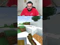 🥺 Hittu Lost his CAT 😭 | Minecraft Survival 2026 | Hitesh KS