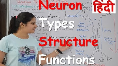 Lecture 2| Neuron physiology in Hindi | Types | Structure | Sensory & Motor nerve | Neuron parts