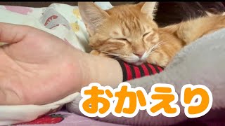 1週間ぶりに飼い主が帰宅した結果