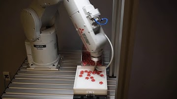 EASYFEED Robotic Flexible Feeding System