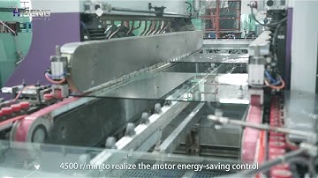 Hiseng HSD High Speed Double Edger line  2021