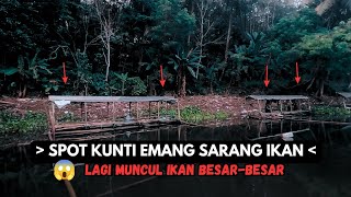 SPOT ANGKER KUNTI EMANG SARANG IKAN | MANCING MANIA