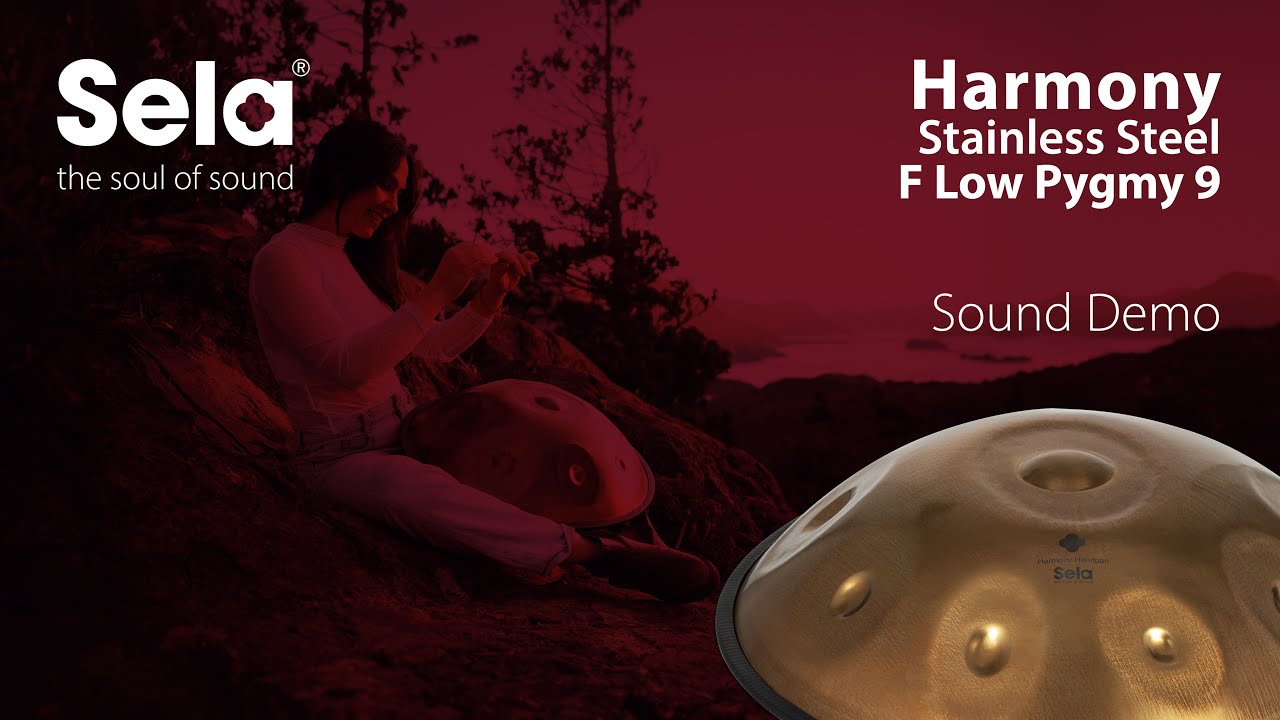 Sela Harmony 9-note Handpan - D Kurd, Stainless Steel