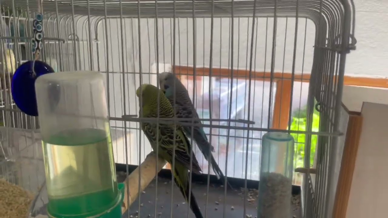 Her yer muhabbet oldu 😅