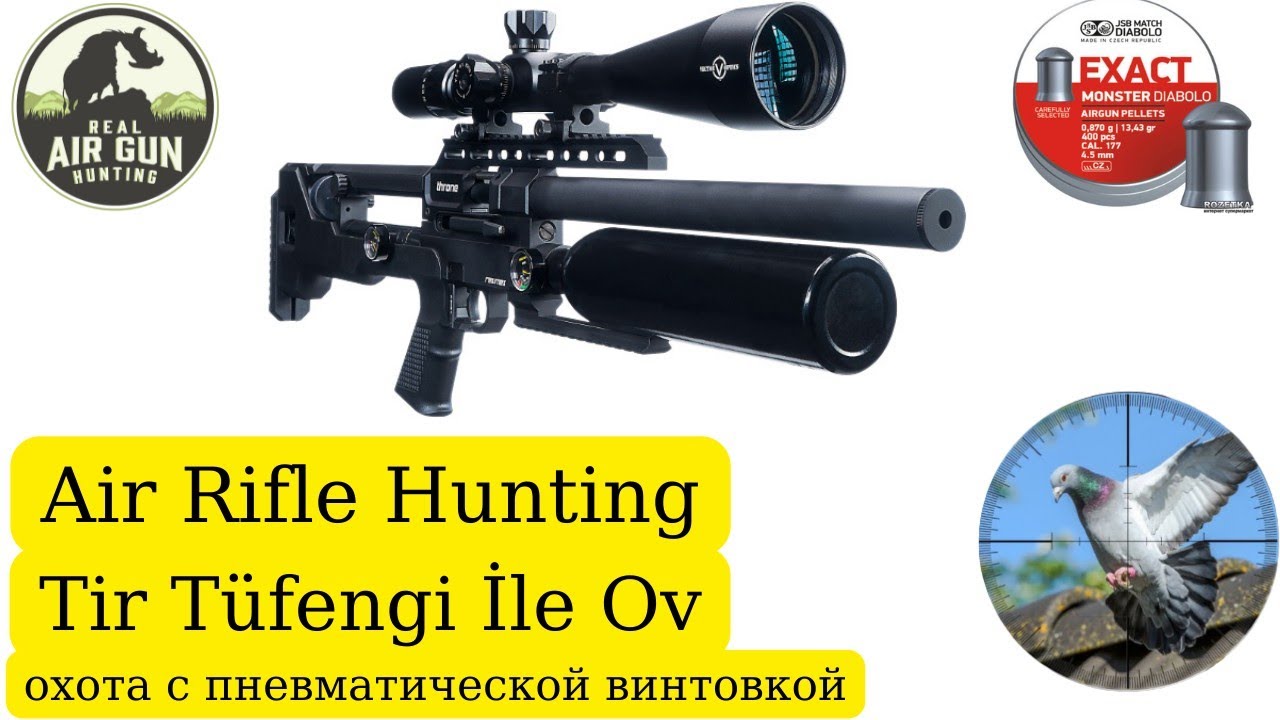 Reximex Throne Hunting Air Rifle Pest Control YouTube