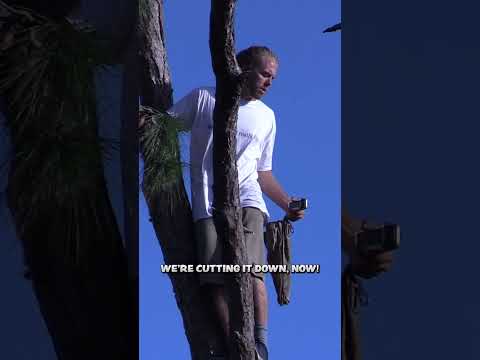 Full Vid 👆