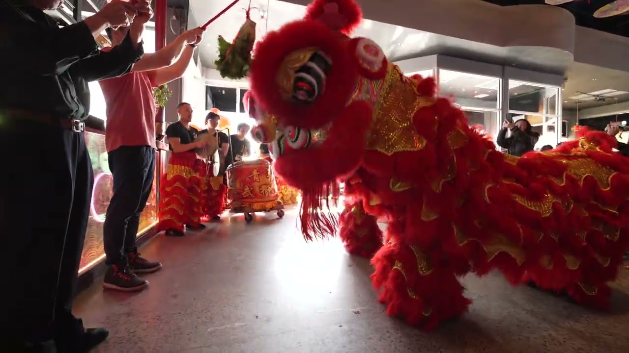 Mtl Youth Lion Dance 1/3