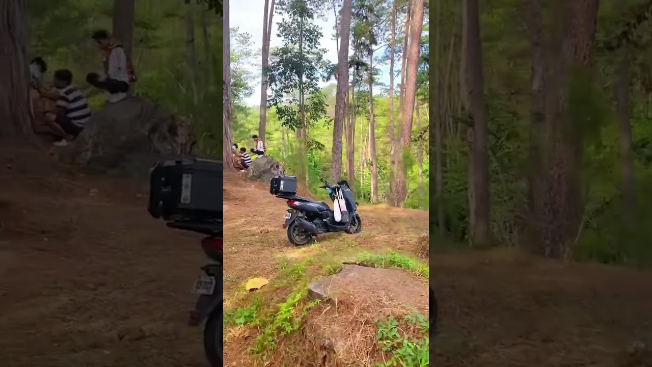 Exploring Kaamulan Park 