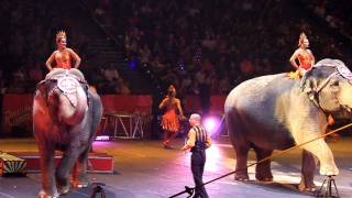 elephant pearl chloe circus 2.MOV