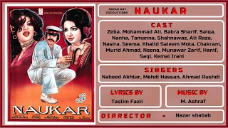 Apna Jeevan Sheeshey Ka Khilona Hee Tu Hai   Mehdi Hassan   Film Naukar 2