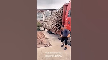 Unloading Bamboo Poles: Impressive Manual Labor