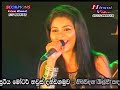 Sengi Sengi Atha Scorpions Shanika Madumali Sengi Sengi Atha Scorpions Shanika Madumali